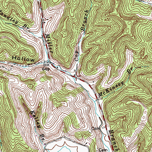 Topographic Map of Cap Branch, KY
