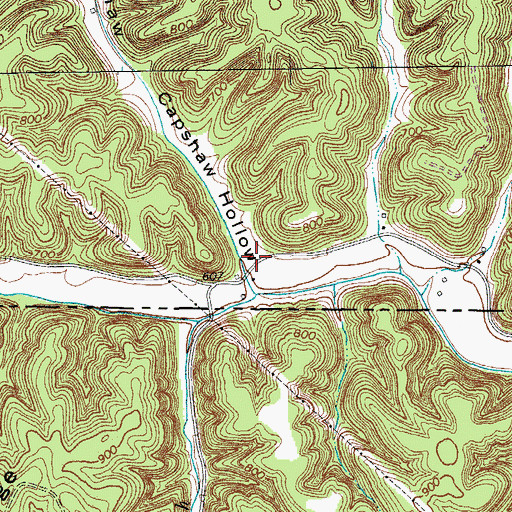Topographic Map of Capshaw Hollow, KY