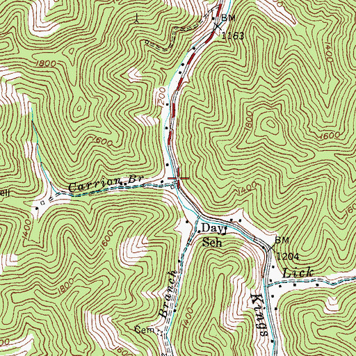Topographic Map of Carrion Branch, KY