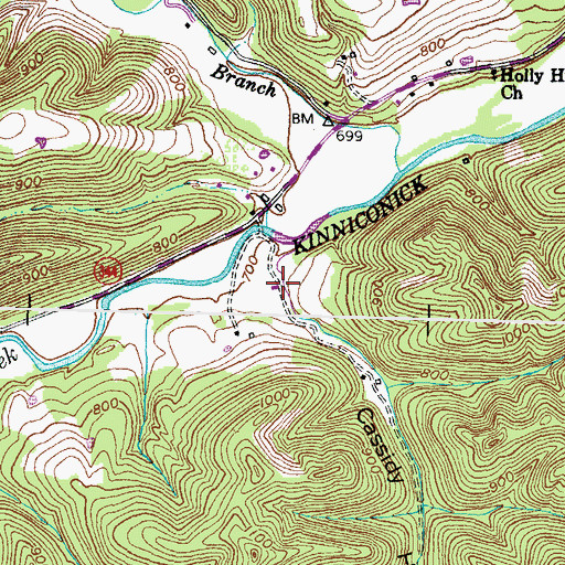 Topographic Map of Cassidy Hollow, KY