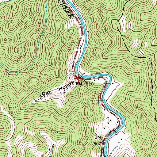 Topographic Map of Cat Hollow, KY