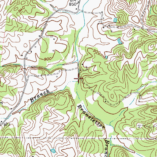 Topographic Map of Cave Branch, KY