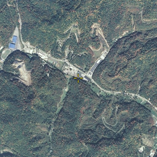 Aerial/Satellite Image of Cave Branch, KY