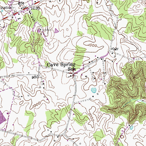 Topographic Map of Cave Spring School, KY