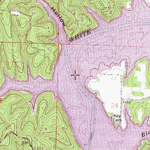 Topographic Map of Esculapia Hollow, AR