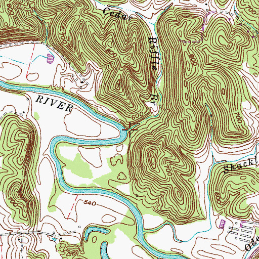Topographic Map of Cedar Riffle Branch, KY