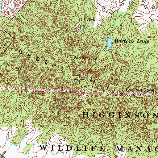 Topographic Map of Chalybeate Hills, KY