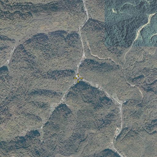 Aerial/Satellite Image of Chapman Fork, KY