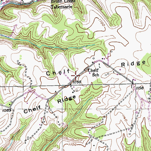 Topographic Map of Chelf Ridge, KY