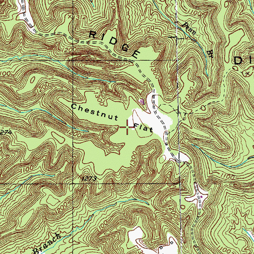Topographic Map of Chestnut Flat, KY