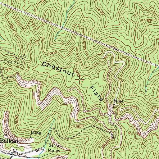 Topographic Map of Chestnut Flats, KY