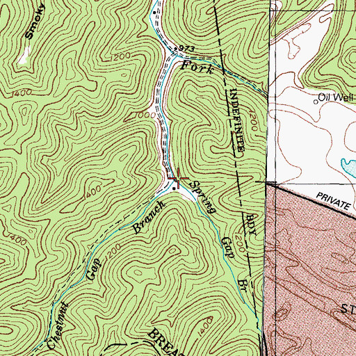 Topographic Map of Chestnut Gap Branch, KY