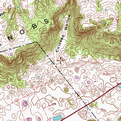 Topographic Map of Chicken Hollow, KY