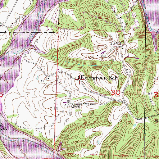Topographic Map of Evergreen School, AR
