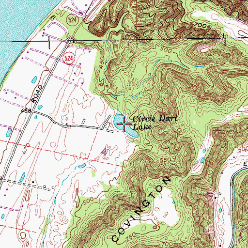 Topographic Map of Circle Dart Lake, KY