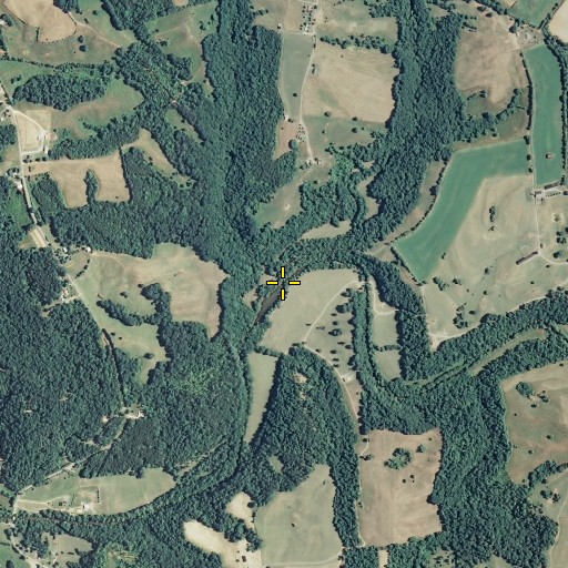 Aerial/Satellite Image of Clear Fork Branch, KY