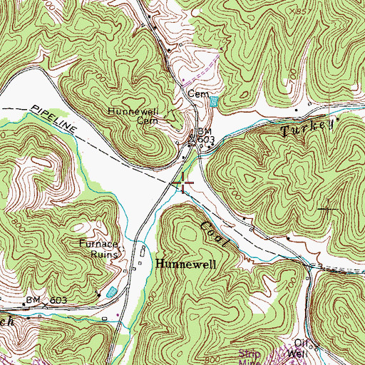 Topographic Map of Coal Branch, KY