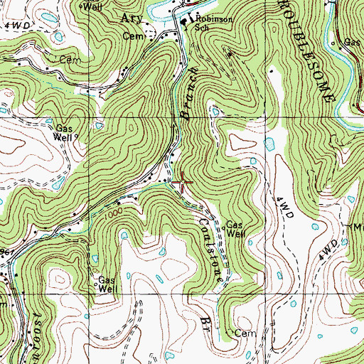 Topographic Map of Coalstone Branch, KY