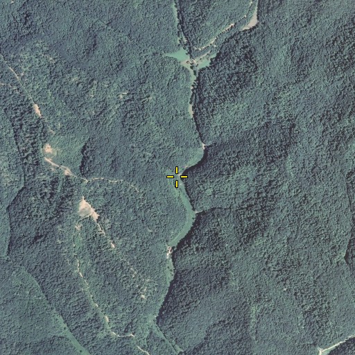 Aerial/Satellite Image of Cocker Lick Branch, KY