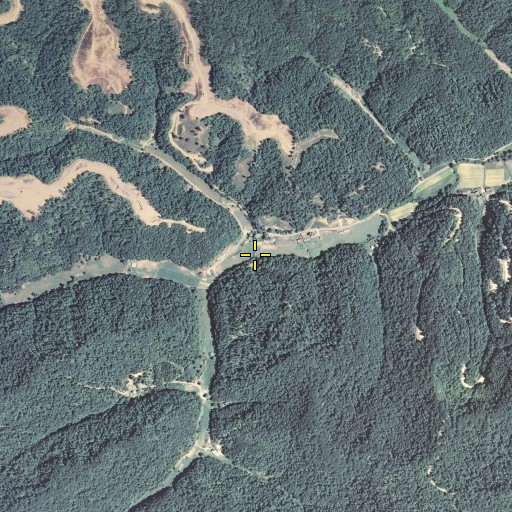 Aerial/Satellite Image of Coffee Branch, KY