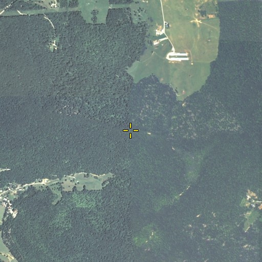 Aerial/Satellite Image of Coffey Mountain, KY