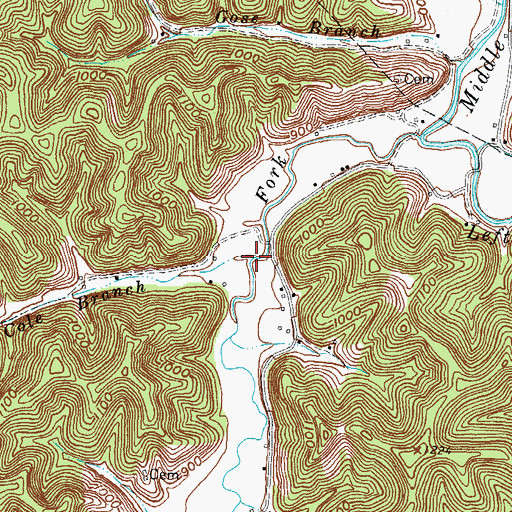 Topographic Map of Cole Branch, KY