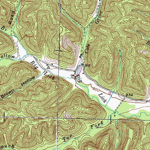 Topographic Map of Cole Grove Branch, KY