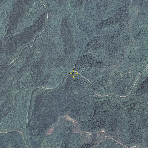 Aerial/Satellite Image of Coles Fork, KY