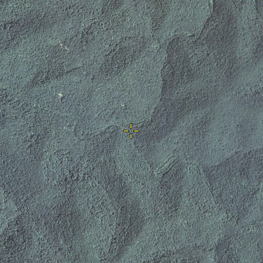 Aerial/Satellite Image of Coles Fork, KY