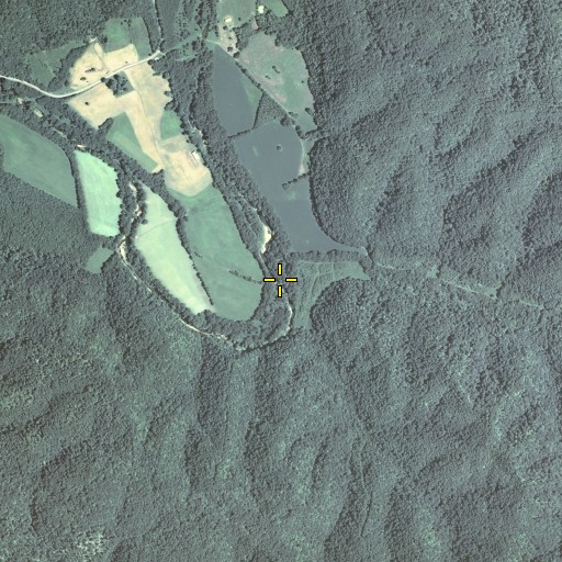 Aerial/Satellite Image of Collins Branch, KY