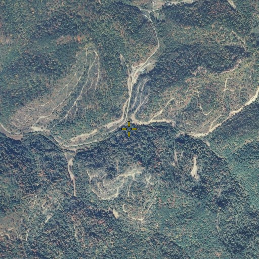 Aerial/Satellite Image of Combs Branch, KY
