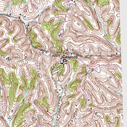 Topographic Map of Concord Church (historical), KY