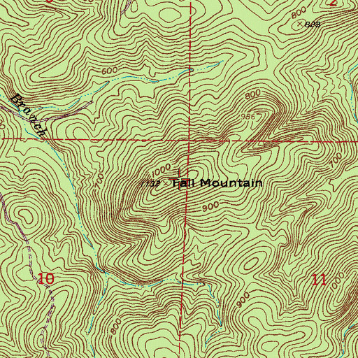 Topographic Map of Fall Mountain, AR