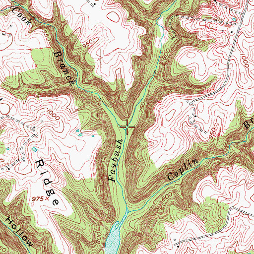 Topographic Map of Cook Branch, KY