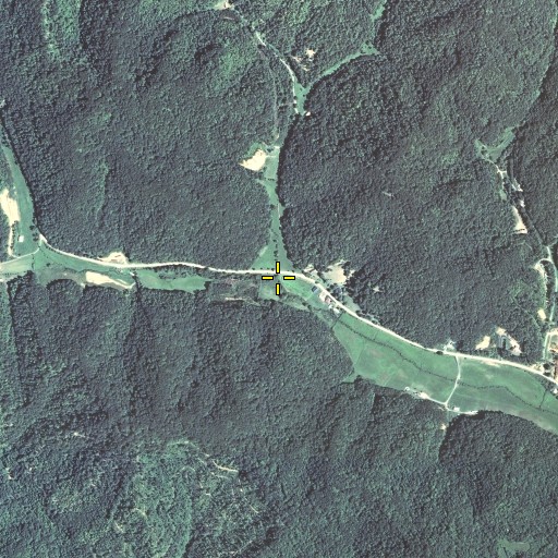 Aerial/Satellite Image of Cooley Branch, KY