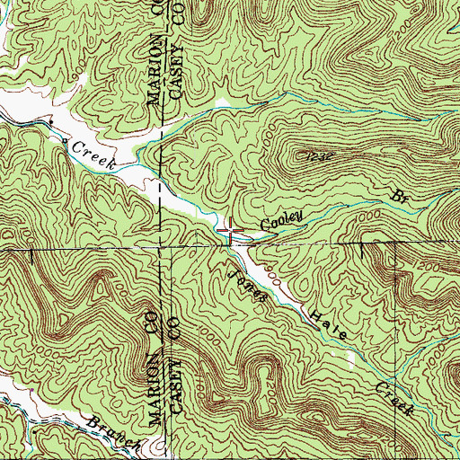 Topographic Map of Cooley Branch, KY