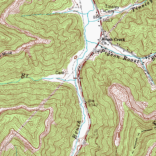 Topographic Map of Coon Branch, KY