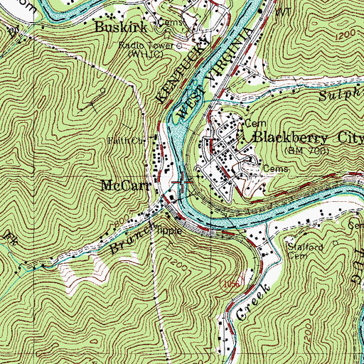 Topographic Map of Coon Branch, KY
