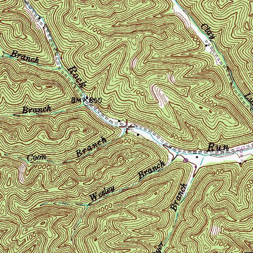 Topographic Map of Coon Branch, KY