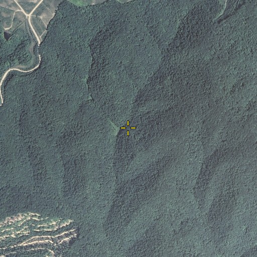 Aerial/Satellite Image of Core Branch, KY
