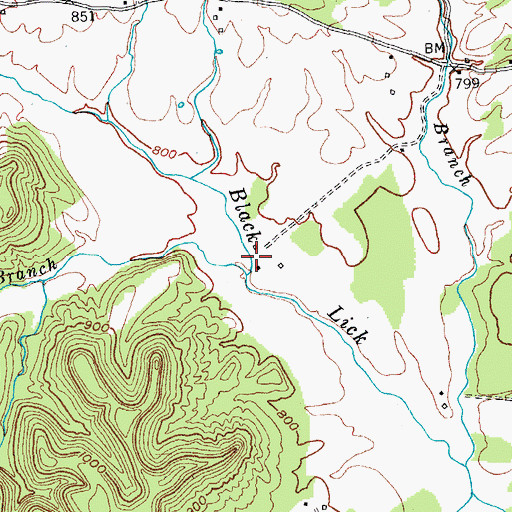 Topographic Map of Cotton Branch, KY