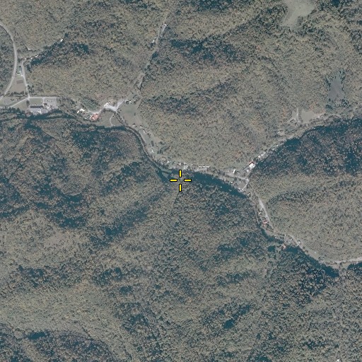 Aerial/Satellite Image of Cow Branch, KY
