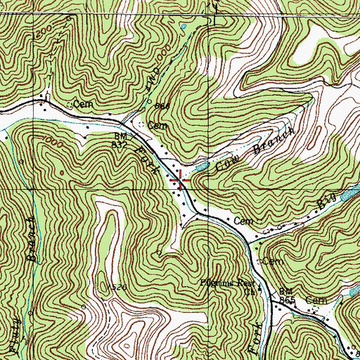 Topographic Map of Cow Branch, KY