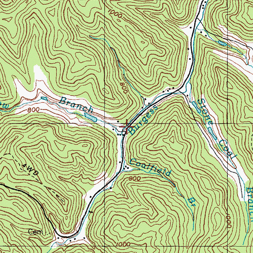 Topographic Map of Cow Branch, KY
