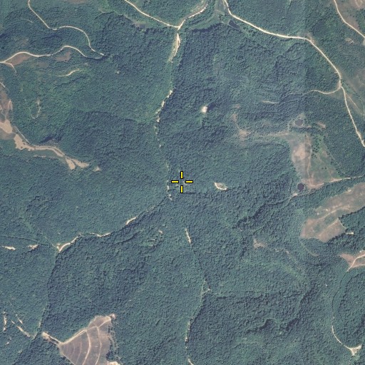 Aerial/Satellite Image of Cow Fork, KY