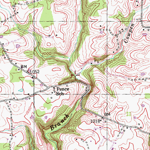 Topographic Map of Cowpen Branch, KY