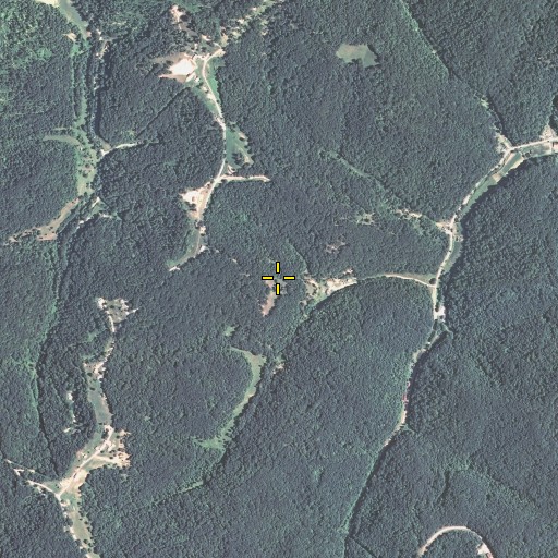 Aerial/Satellite Image of Crabtree Cemetery, KY