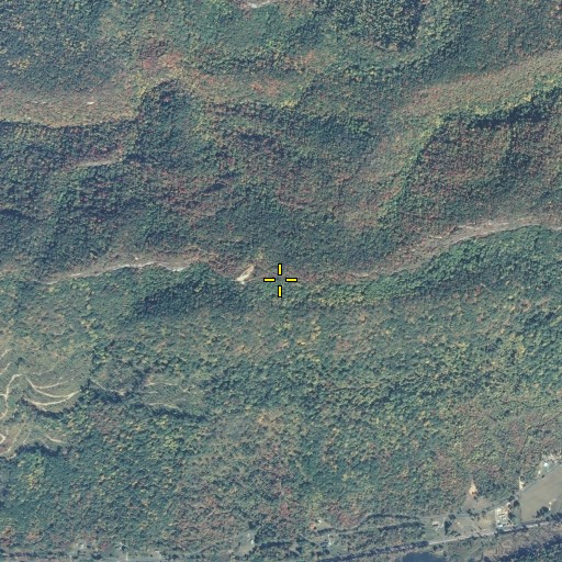 Aerial/Satellite Image of Cranks Gap, KY