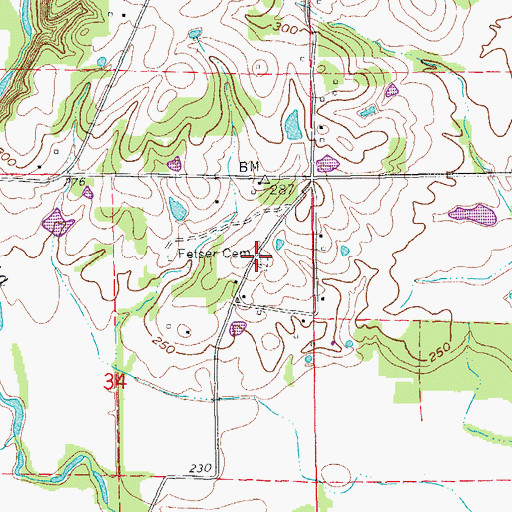 Topographic Map of Fetser Cemetery, AR