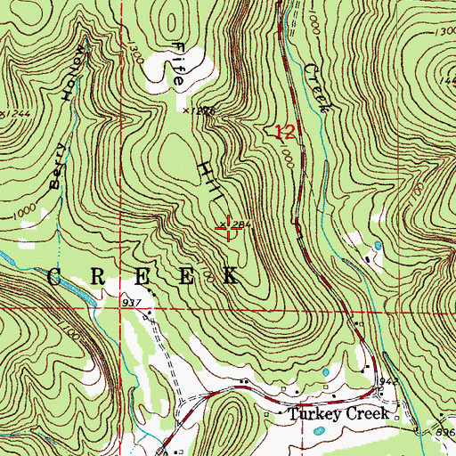 Topographic Map of Fife Hill, AR
